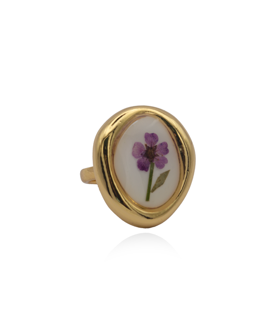 Anello Florà