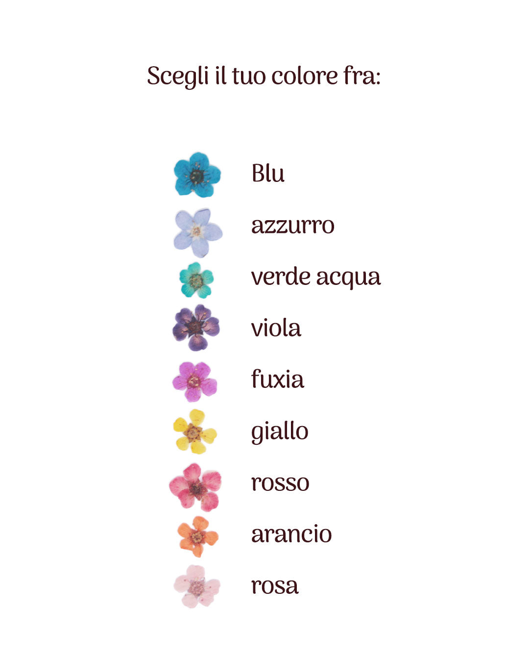 Anello Florà